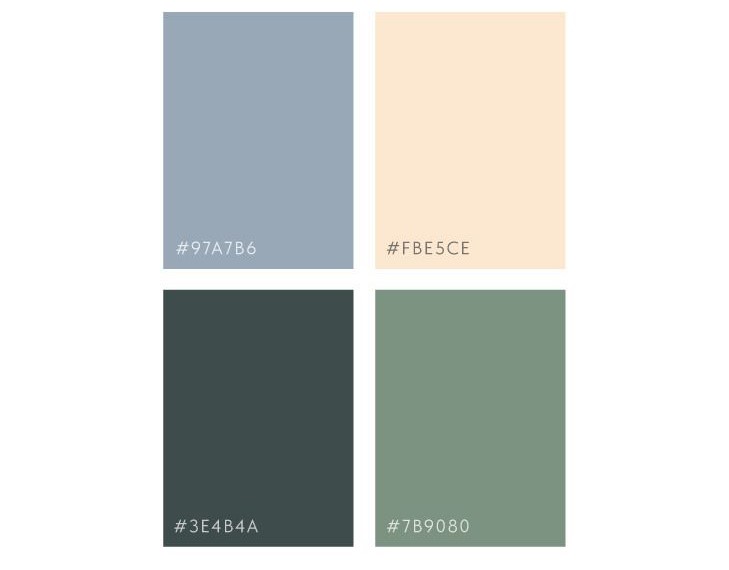 Colour Palette 1 An image with circles of different colours (subdued blue, a soft peach, a dark sea green, and a muted green) showing colour palette for website